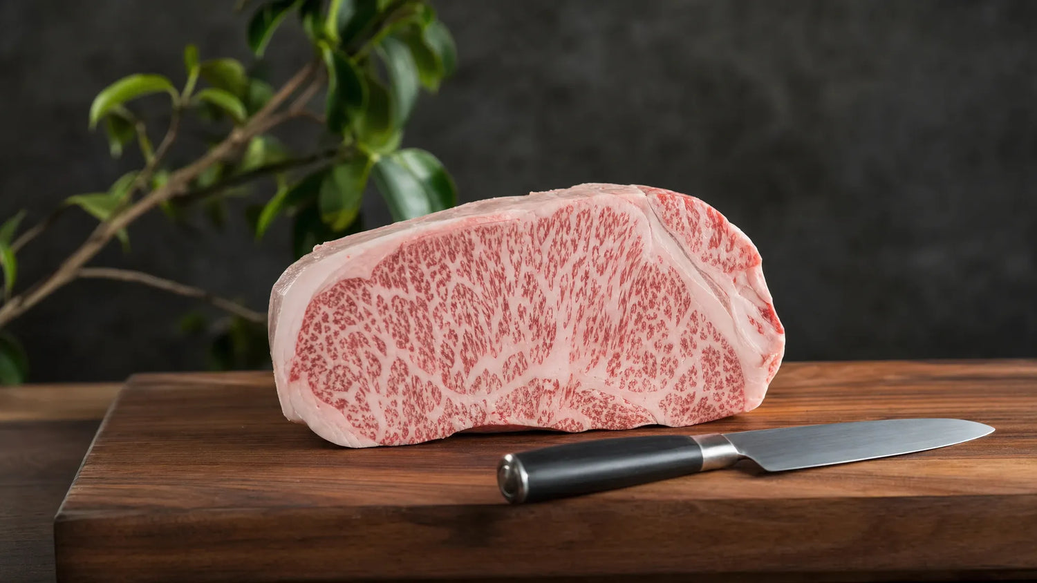 Wagyu steak bakken zonder marmering te verspillen - Beef Boutique