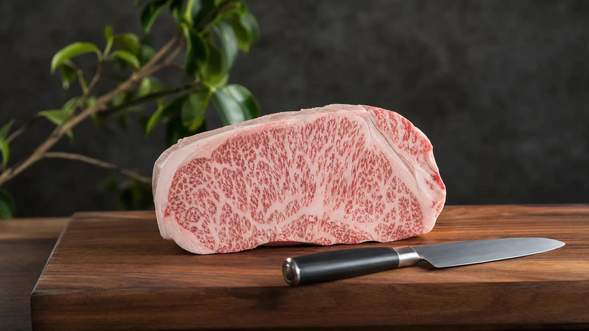 Wagyu steak bakken zonder marmering te verspillen - Beef Boutique