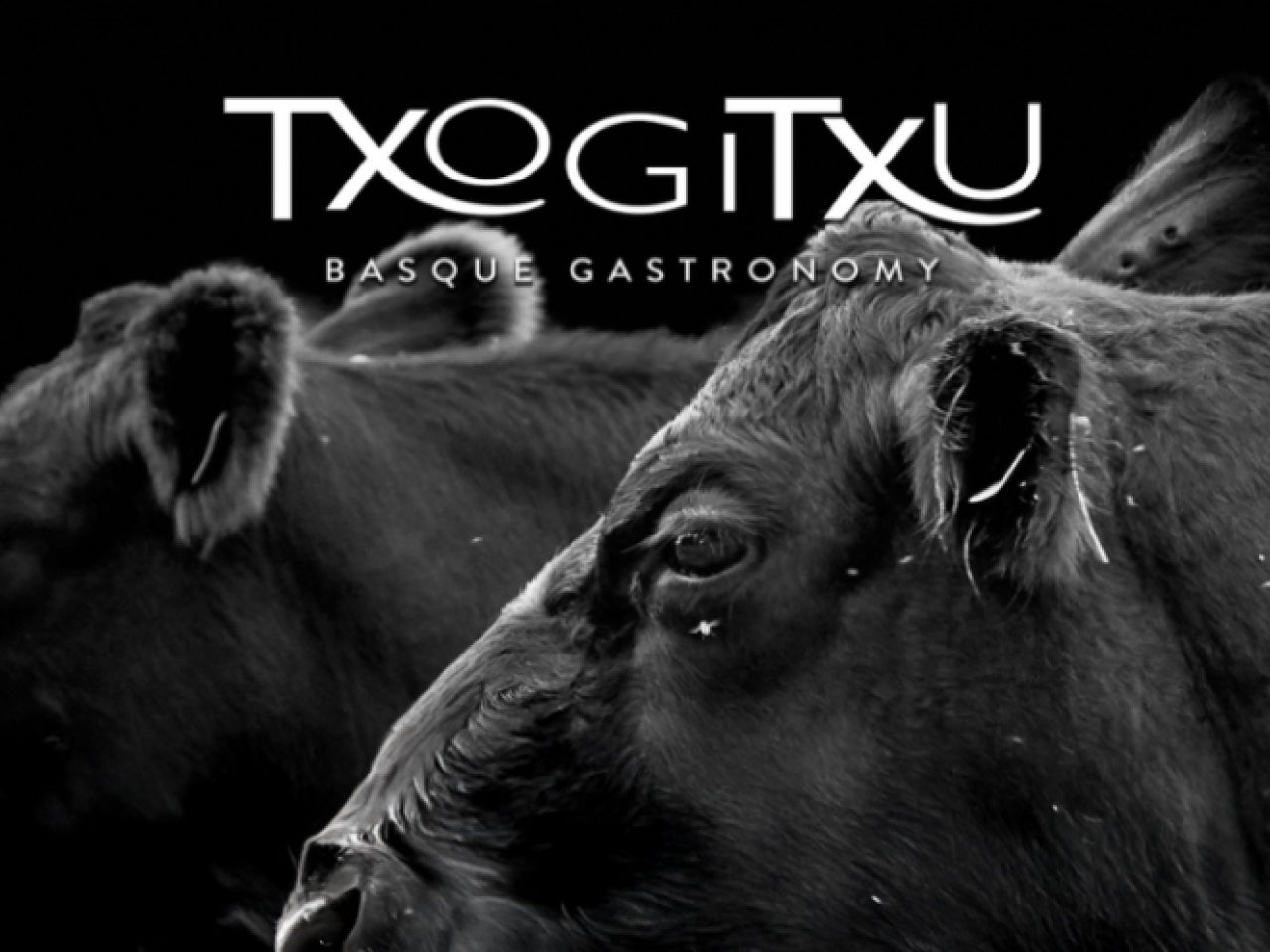 Txogitxu - Beef Boutique