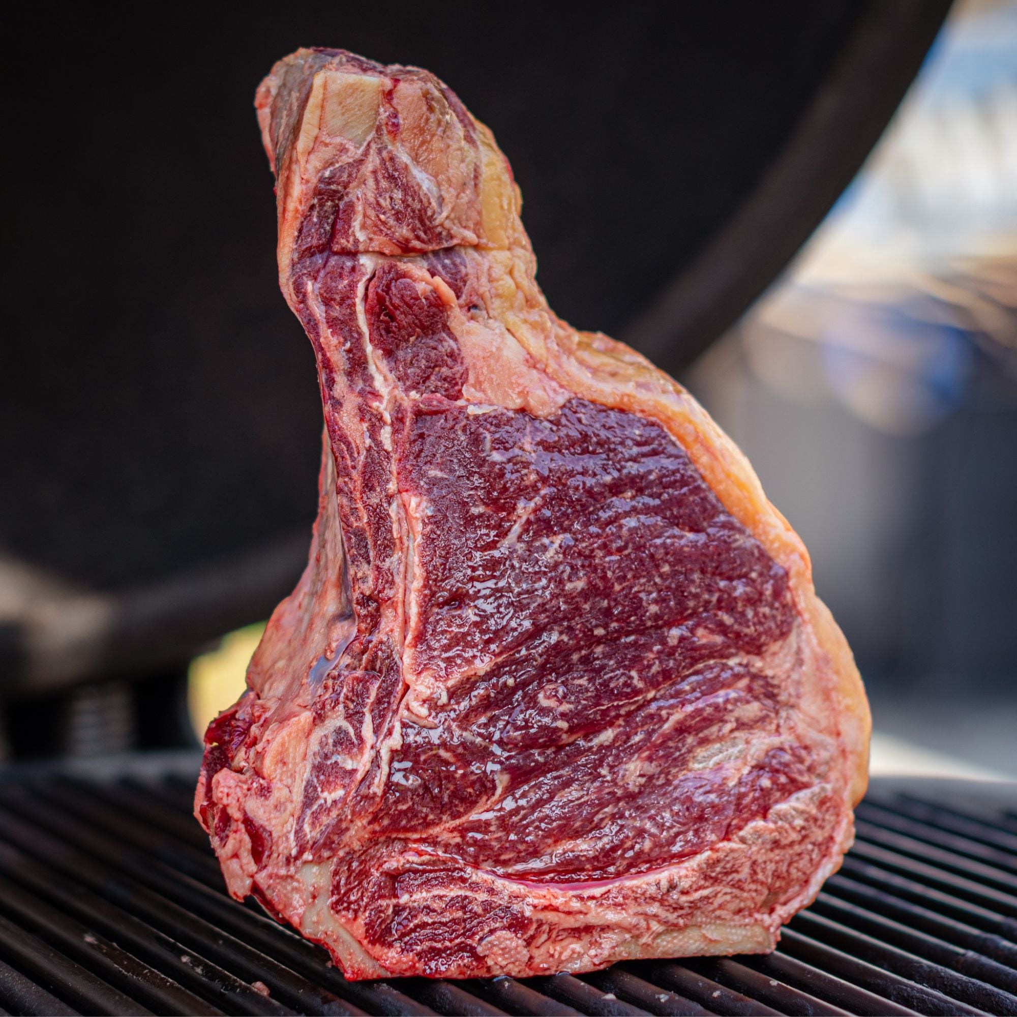 Txogitxu Rubia Gallega Txuletón - Beef Boutique