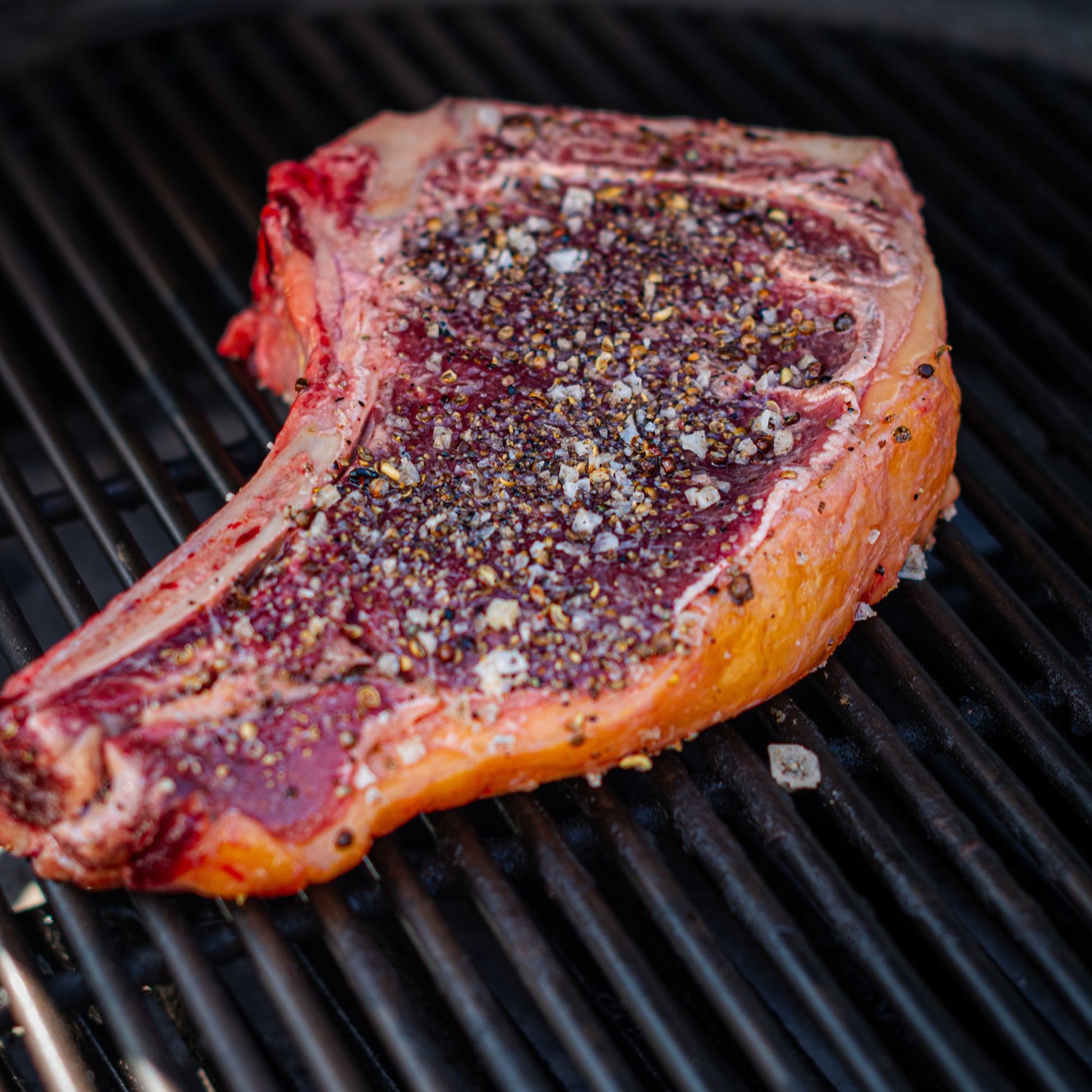 Txogitxu Rubia Gallega Txuletón - Beef Boutique