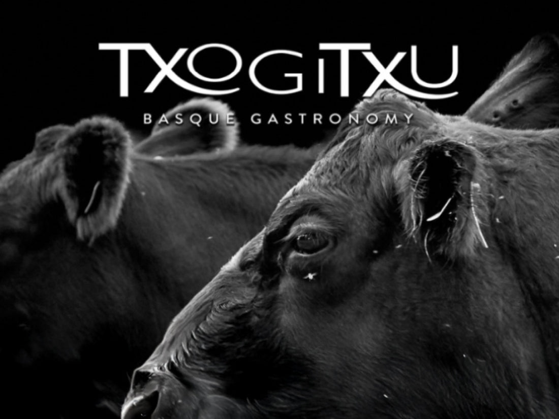 Txogitxu
