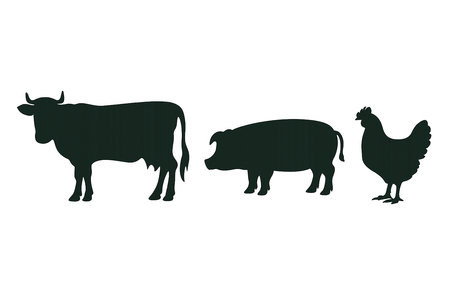 Beef Boutique
