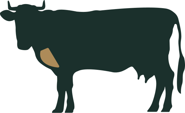 Beef Boutique