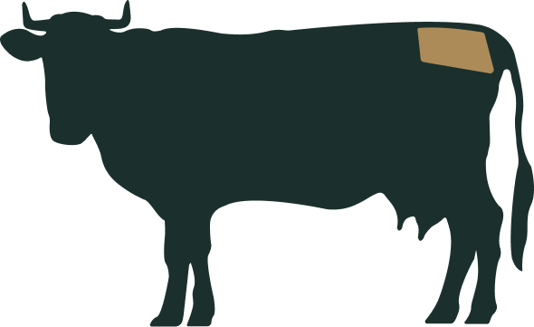 Beef Boutique