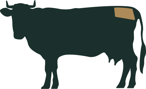 Beef Boutique