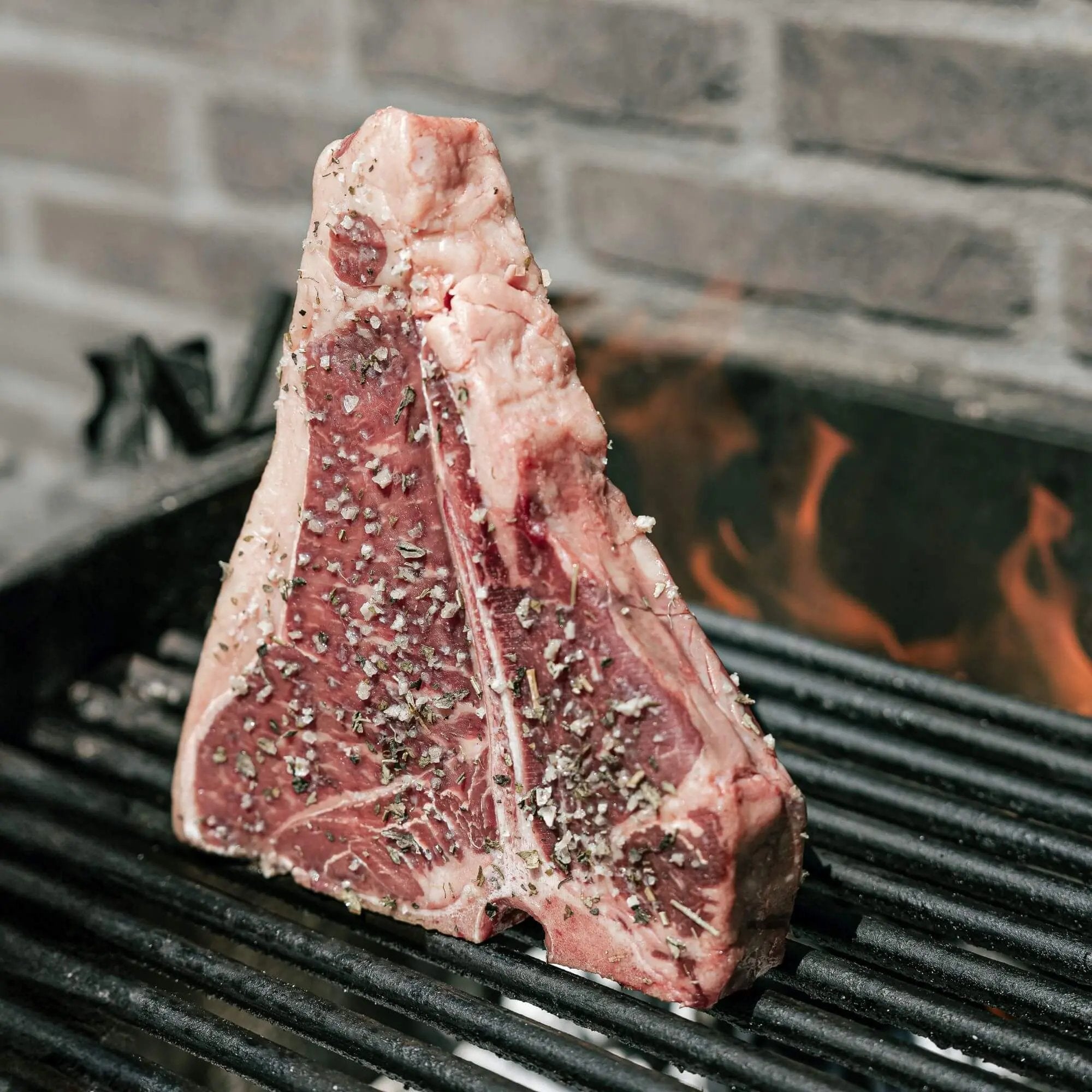 Miguel Vergara T - Bone Steak - Beef Boutique